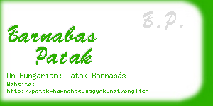 barnabas patak business card